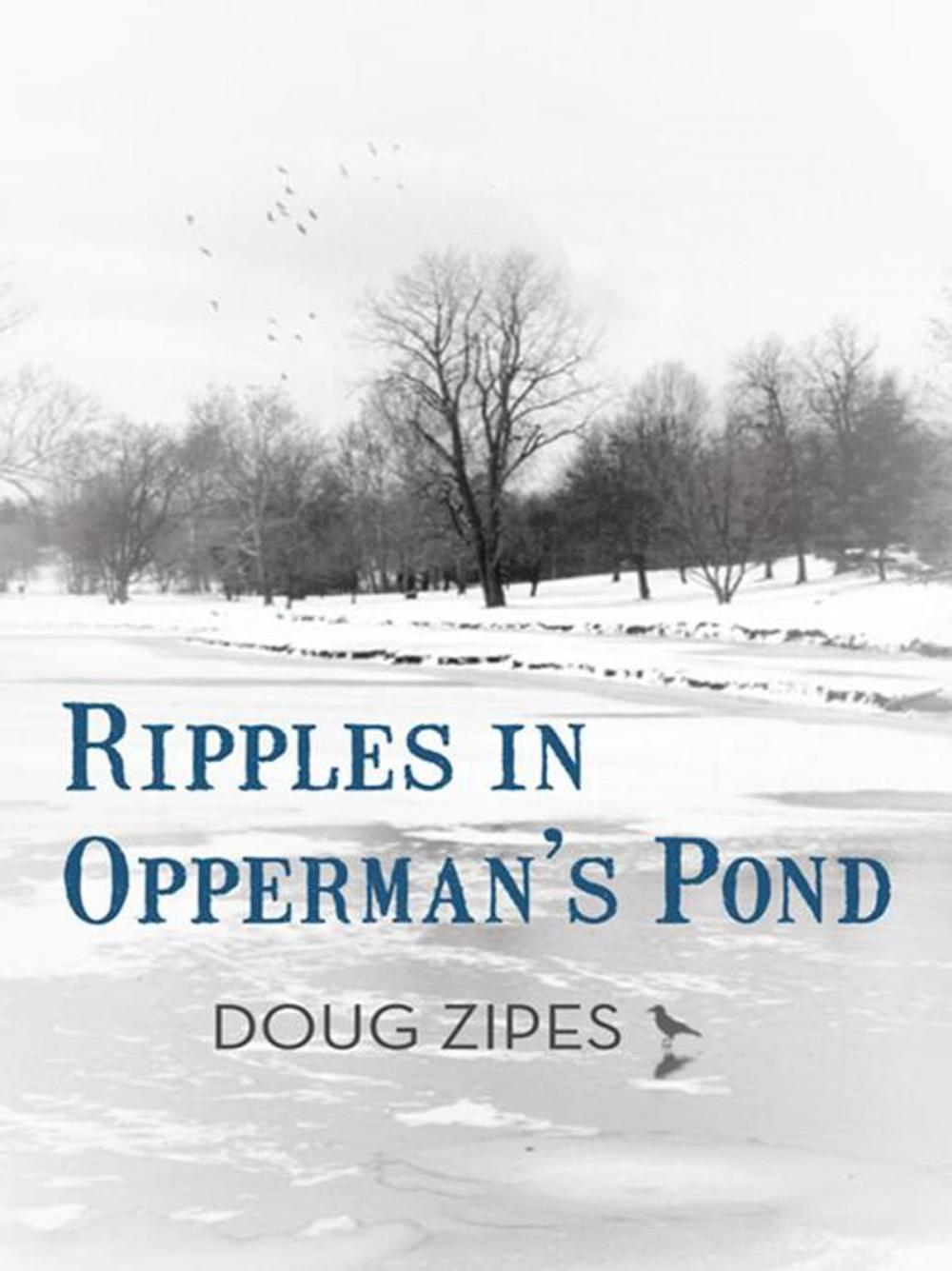 Big bigCover of Ripples in Opperman's Pond