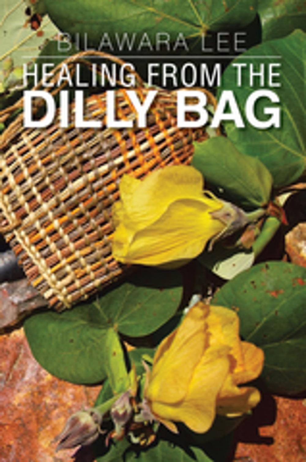 Big bigCover of Healing from the Dilly Bag