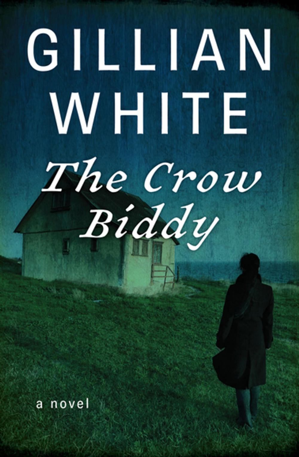 Big bigCover of The Crow Biddy