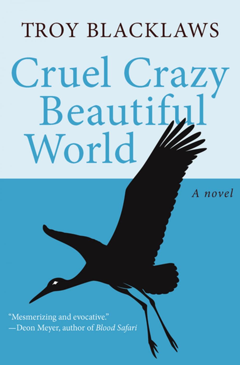 Big bigCover of Cruel Crazy Beautiful World