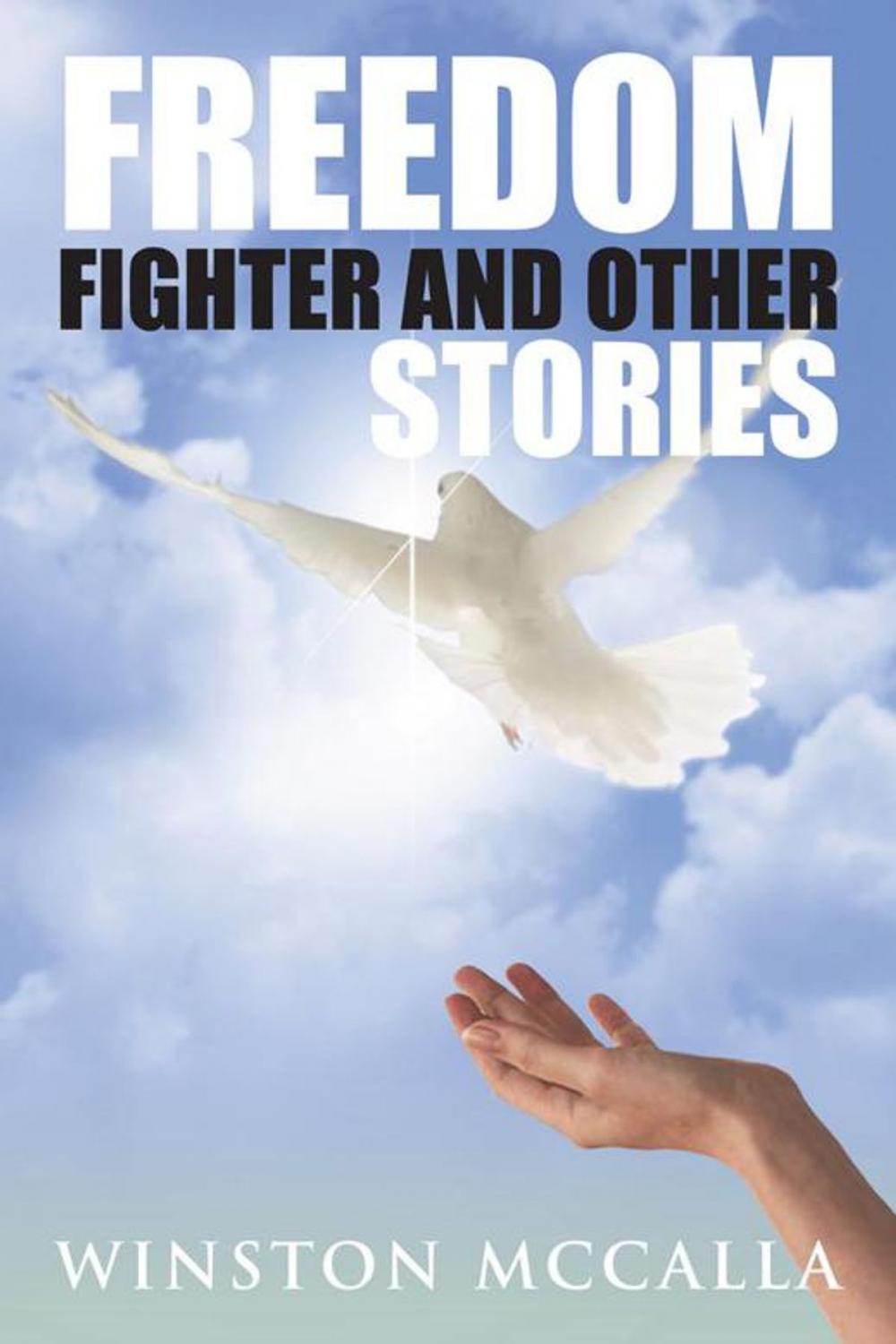 Big bigCover of Freedom Fighter and Other Stories