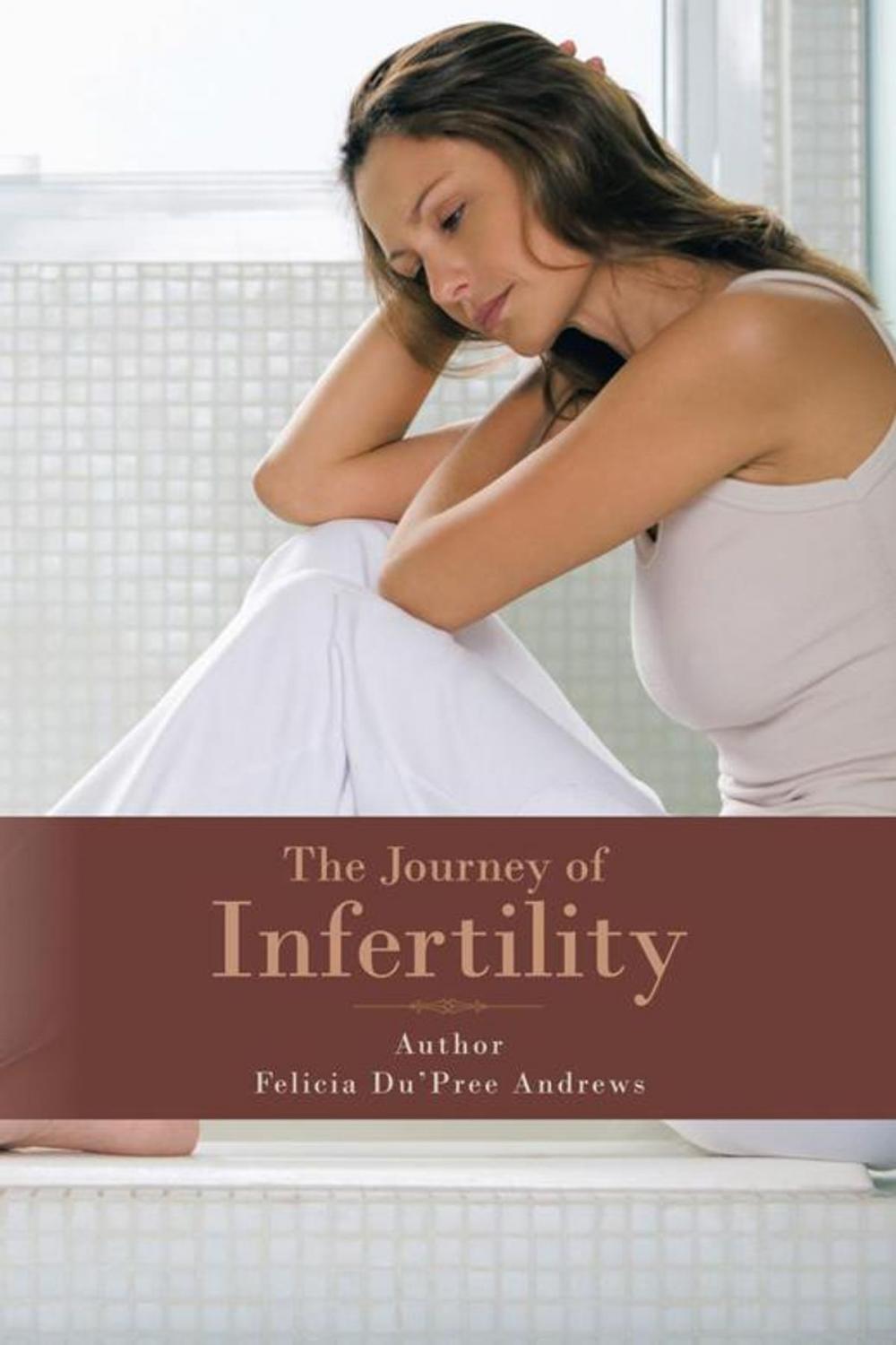 Big bigCover of “The Journey of Infertility”