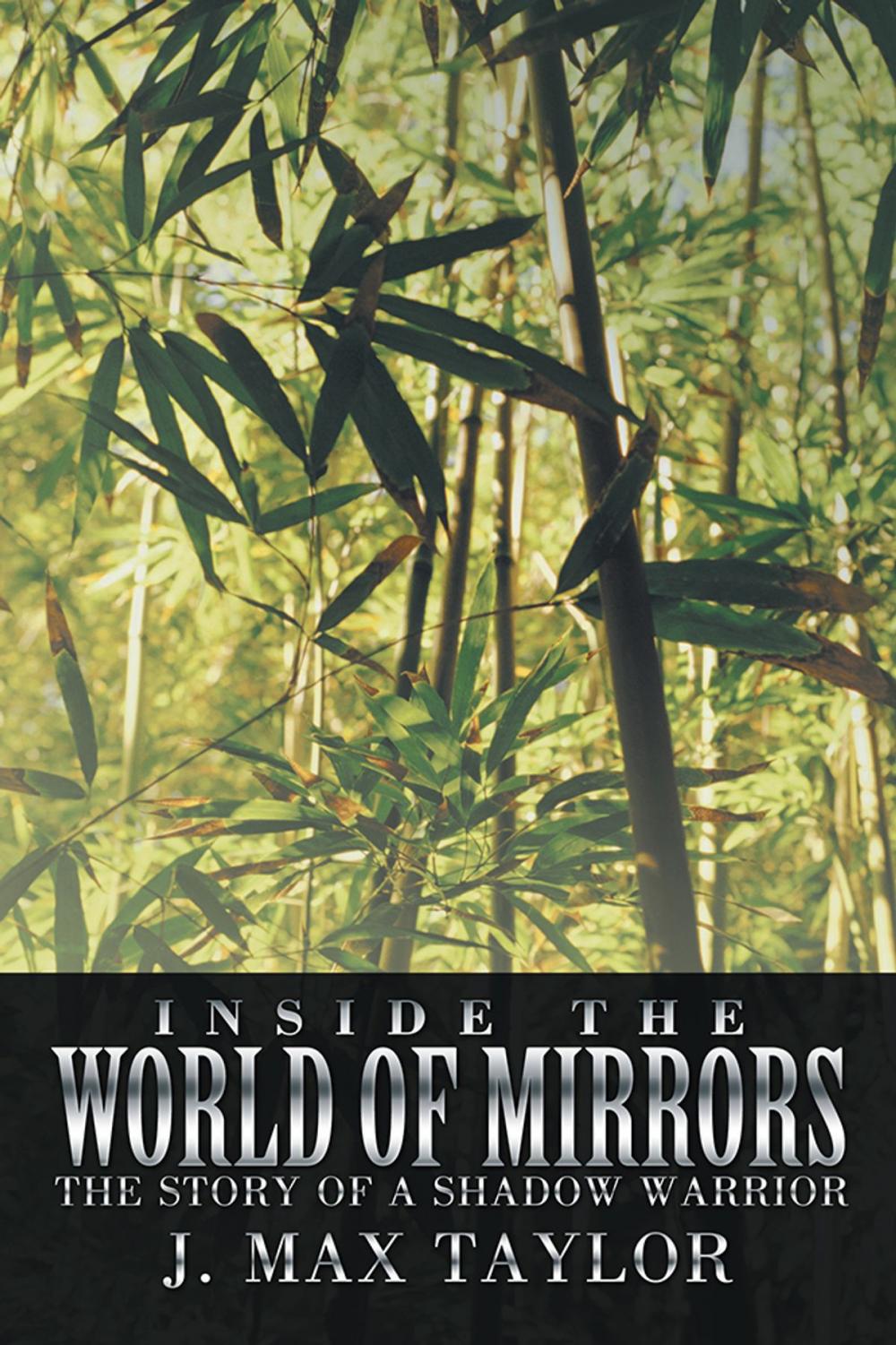 Big bigCover of Inside the World of Mirrors