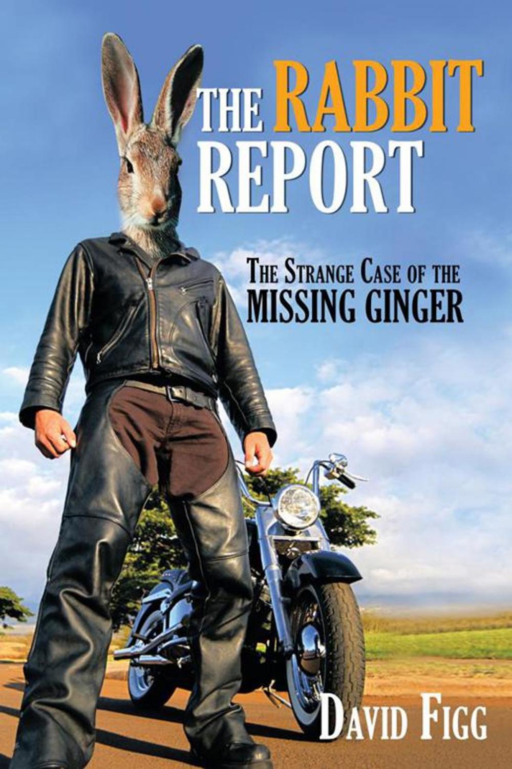 Big bigCover of The Rabbit Report