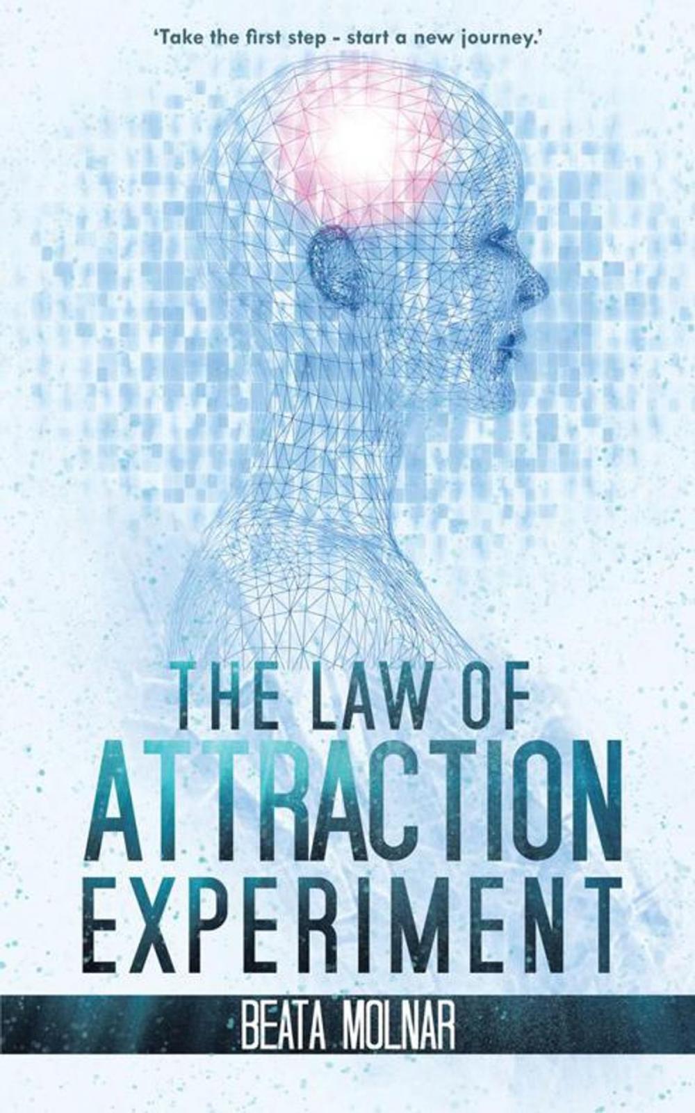 Big bigCover of The Law of Attraction Experiment