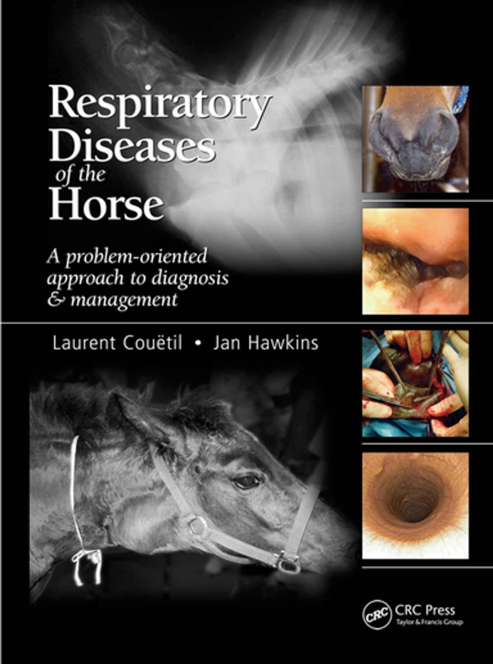 Big bigCover of Respiratory Diseases of the Horse