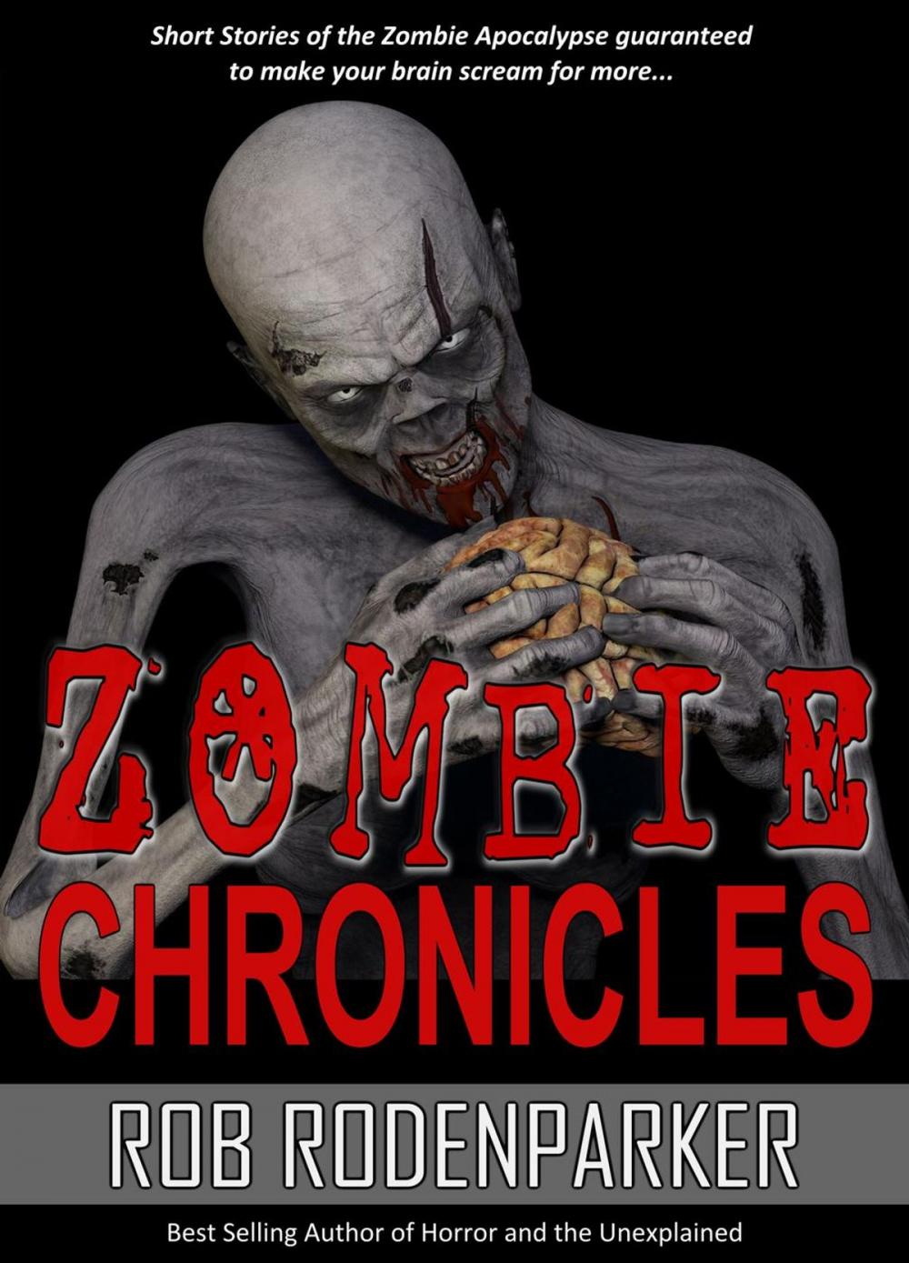 Big bigCover of Zombie Chronicles