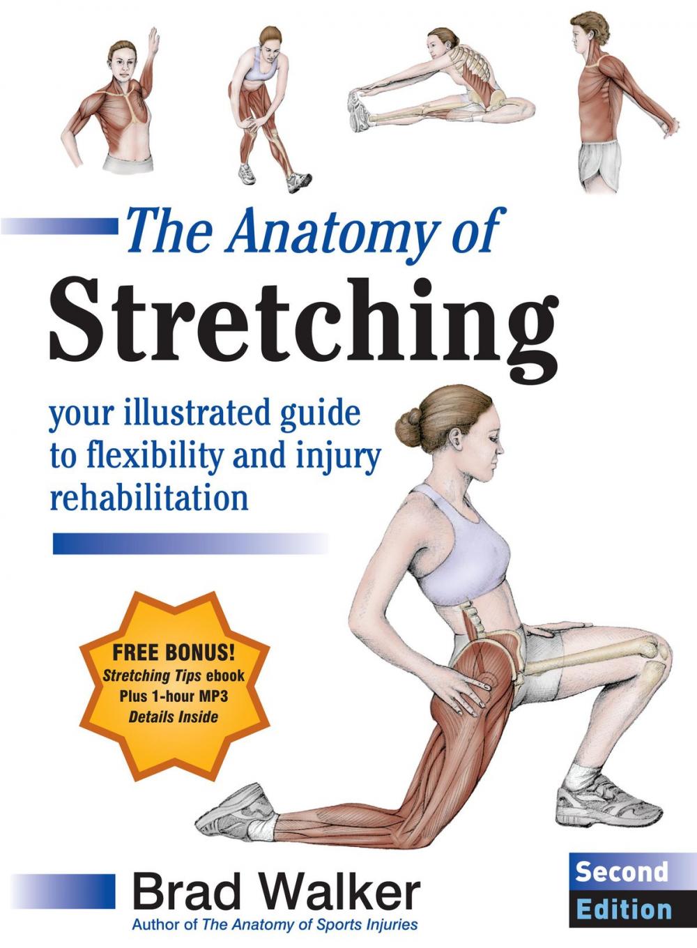 Big bigCover of The Anatomy of Stretching, Second Edition