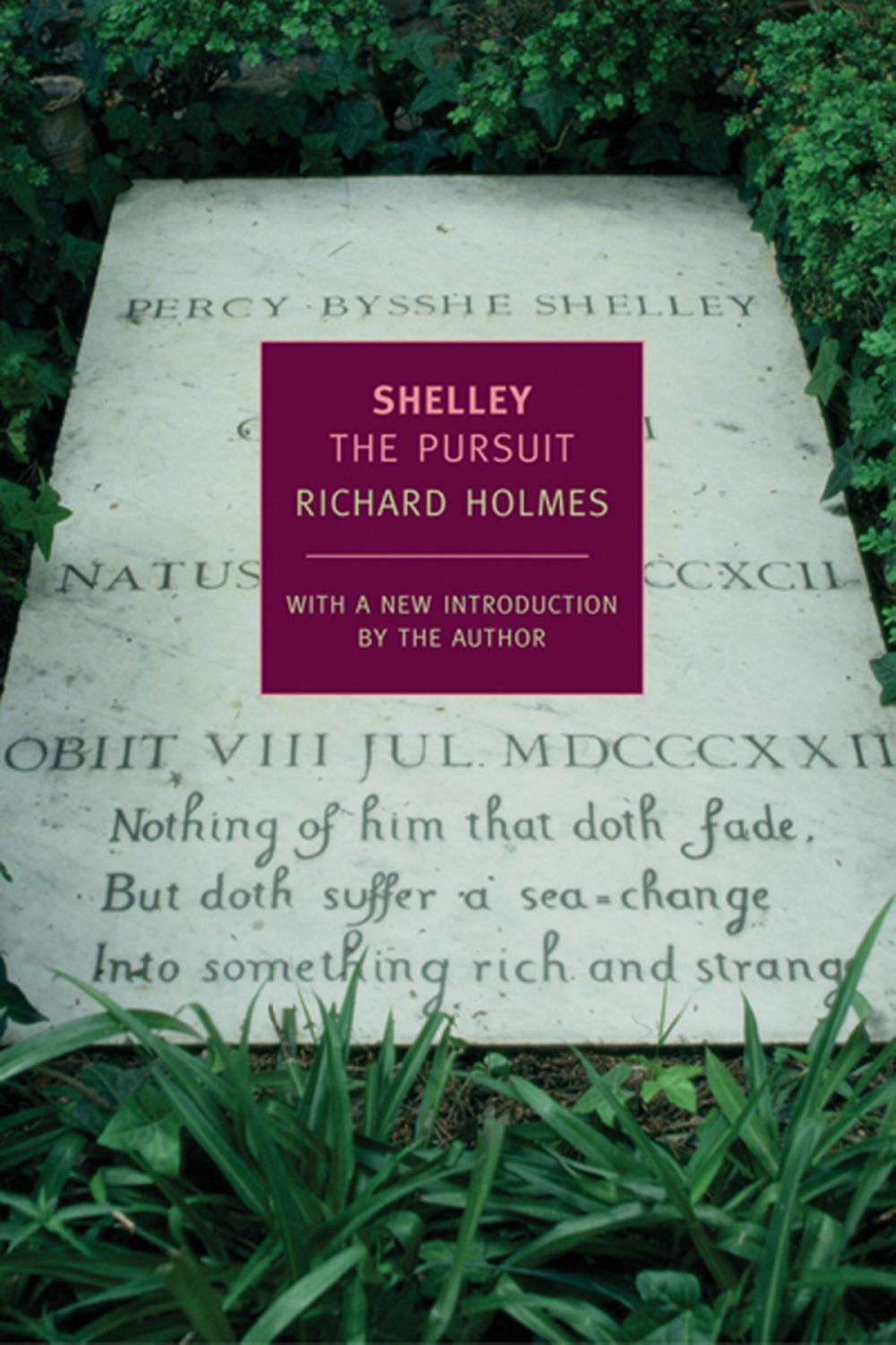 Big bigCover of Shelley: The Pursuit