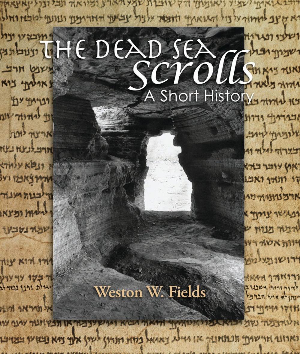 Big bigCover of The Dead Sea Scrolls