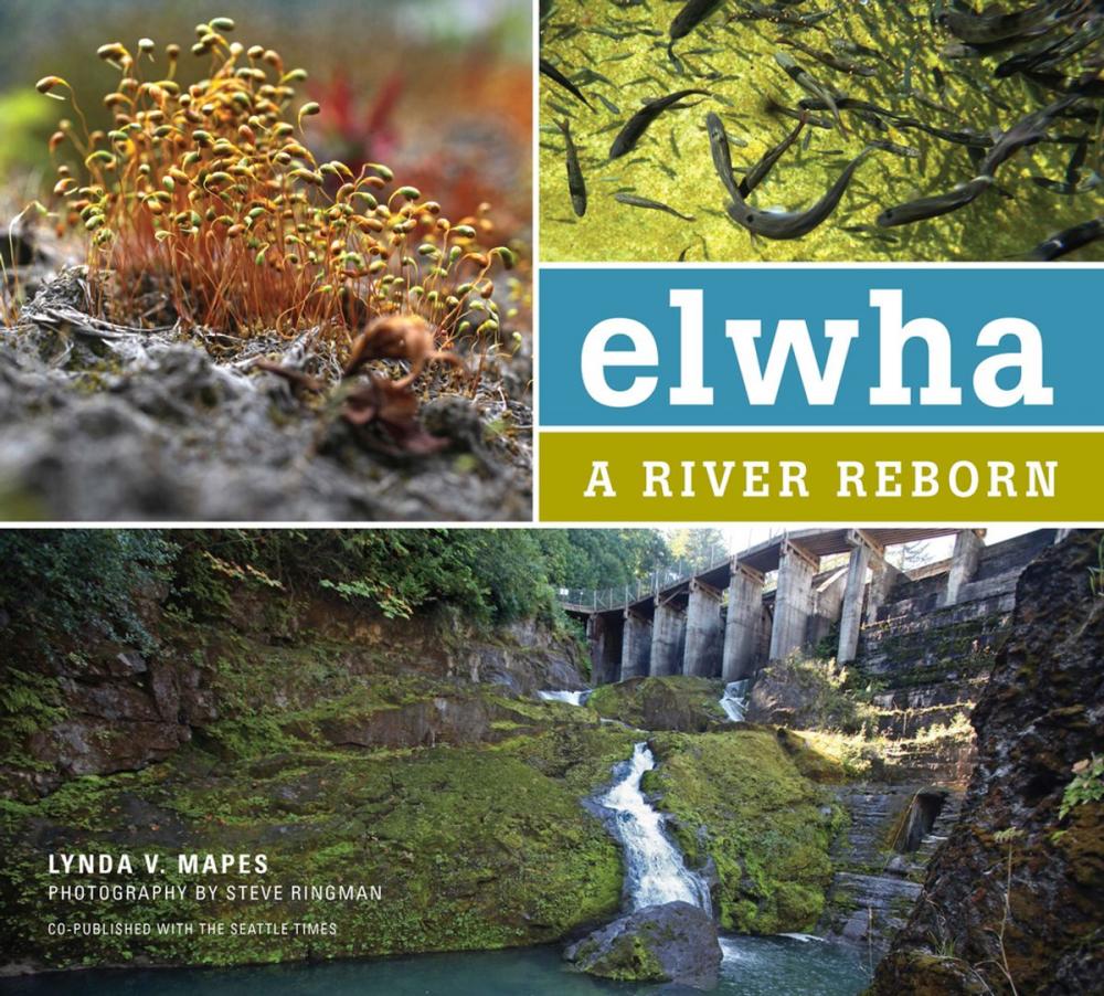 Big bigCover of Elwha