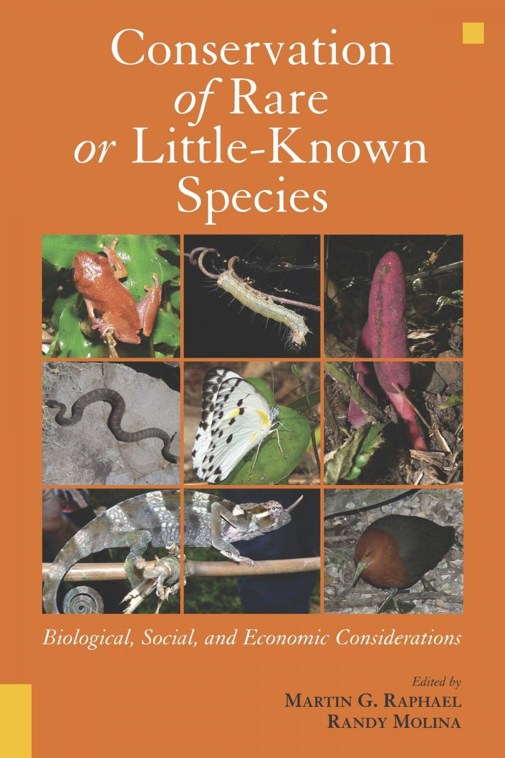 Big bigCover of Conservation of Rare or Little-Known Species