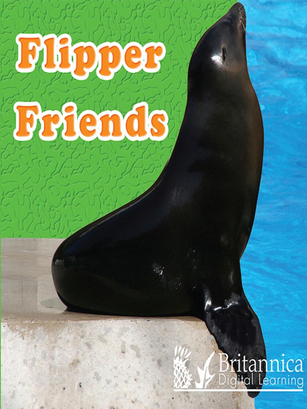 Big bigCover of Flipper Friends