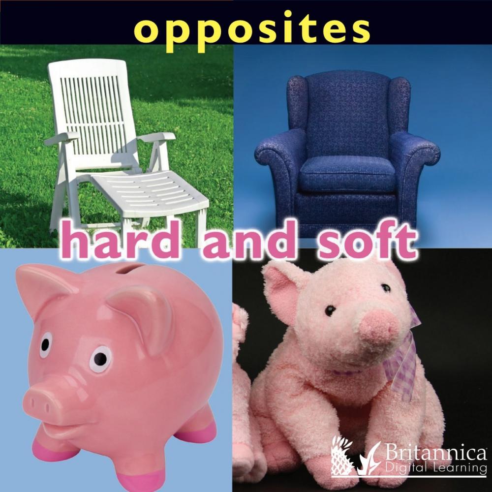 Big bigCover of Opposites: Hard and Soft