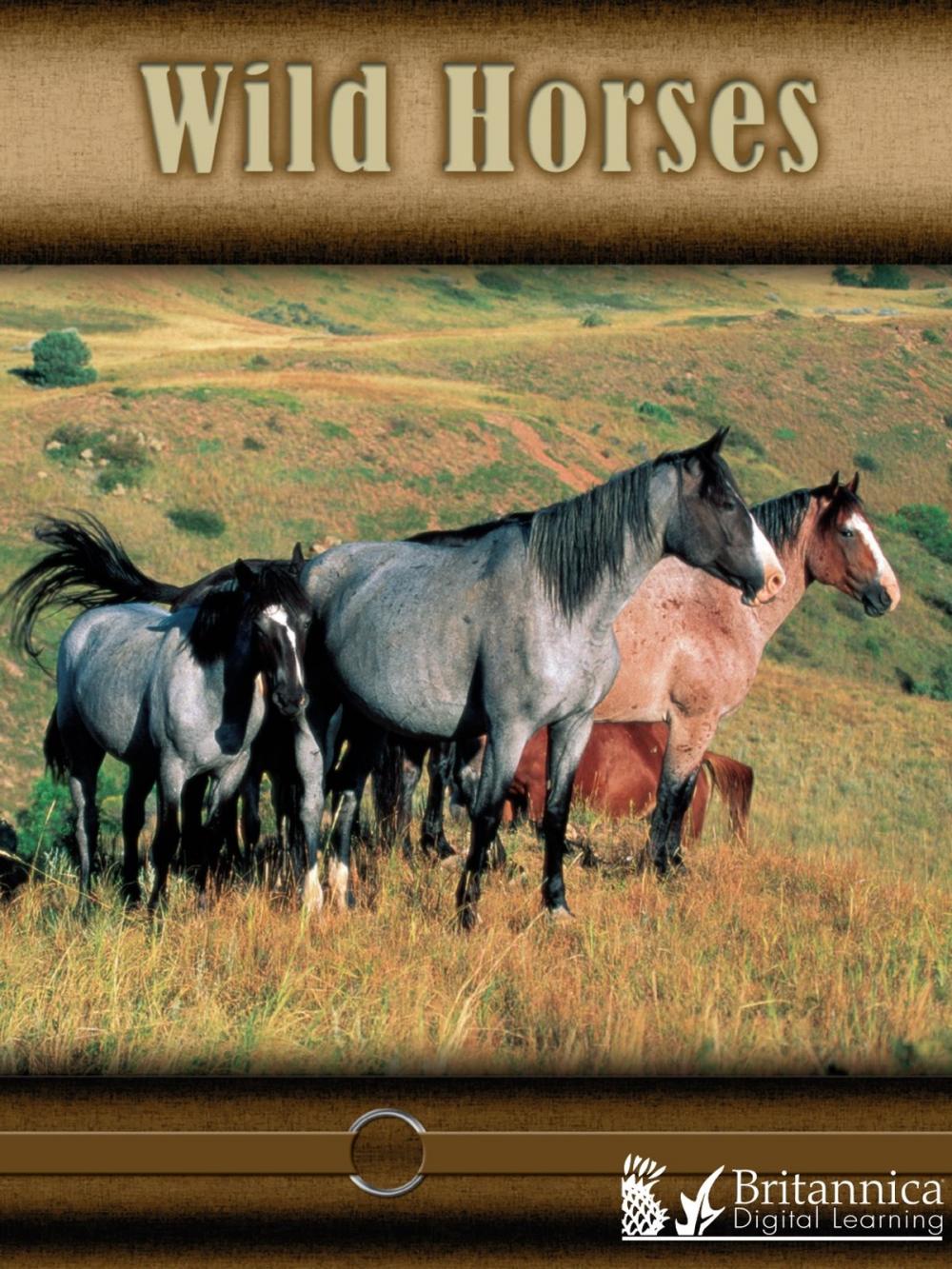 Big bigCover of Wild Horses