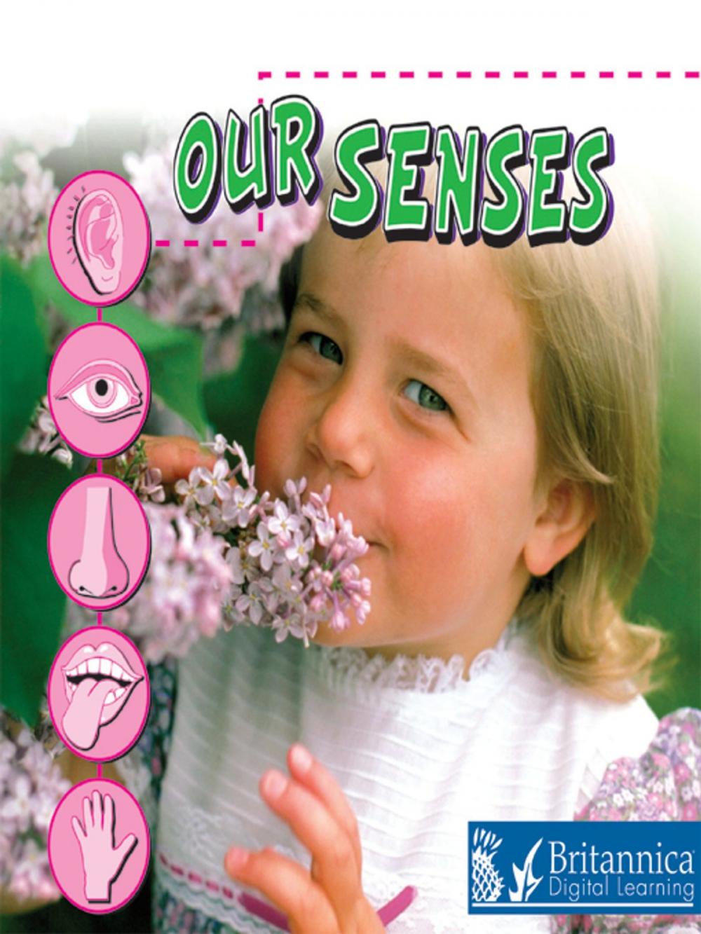 Big bigCover of Our Senses