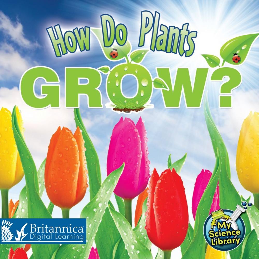 Big bigCover of How Do Plants Grow?