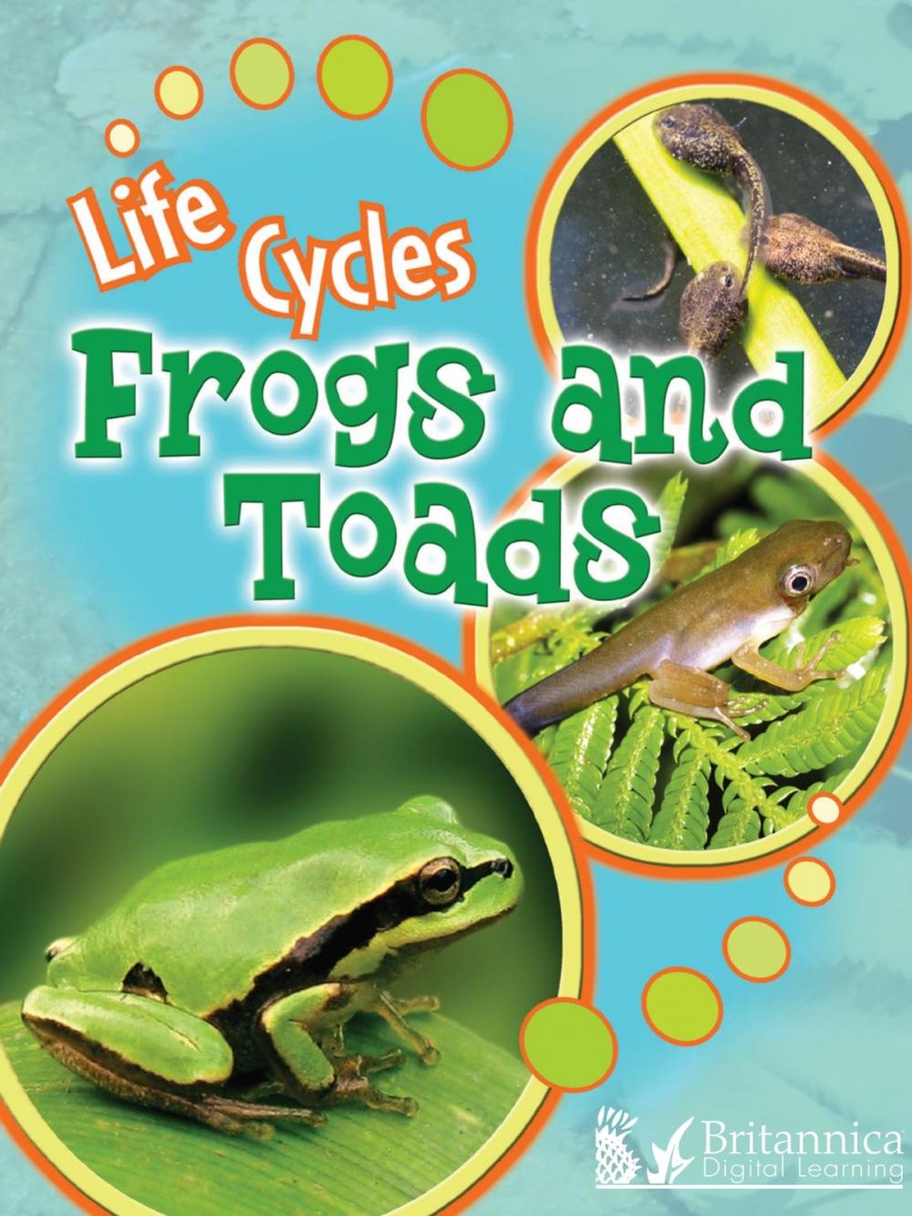 Big bigCover of Frogs and Toads