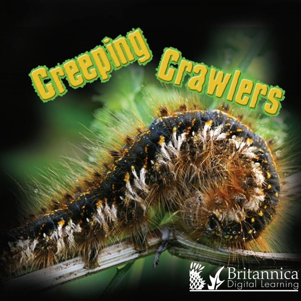 Big bigCover of Creeping Crawlers