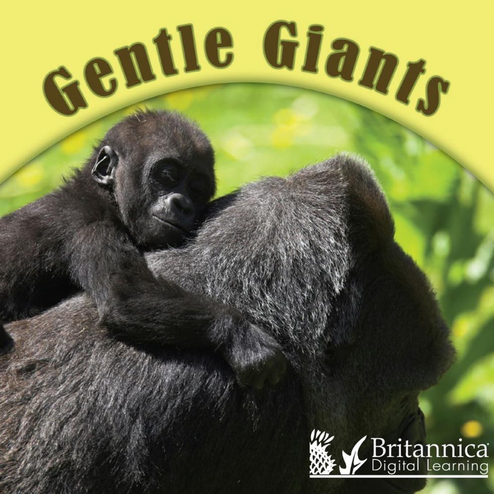 Big bigCover of Gentle Giants