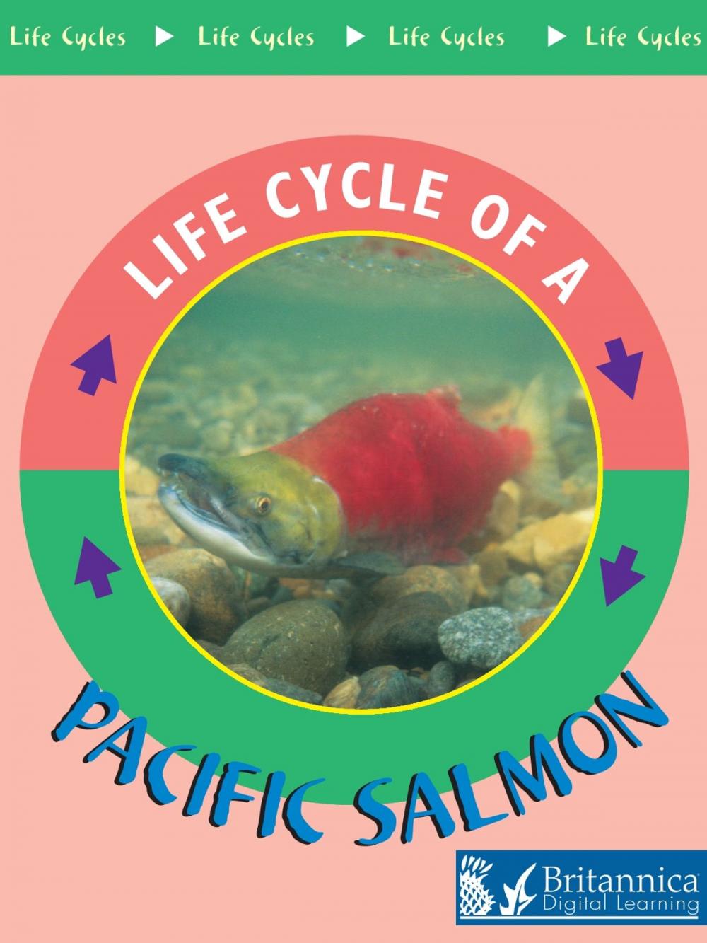 Big bigCover of Pacific Salmon