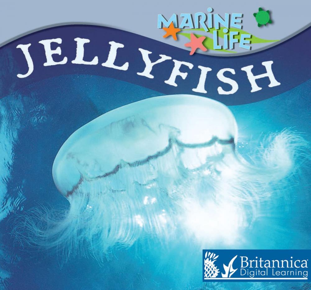 Big bigCover of Jellyfish