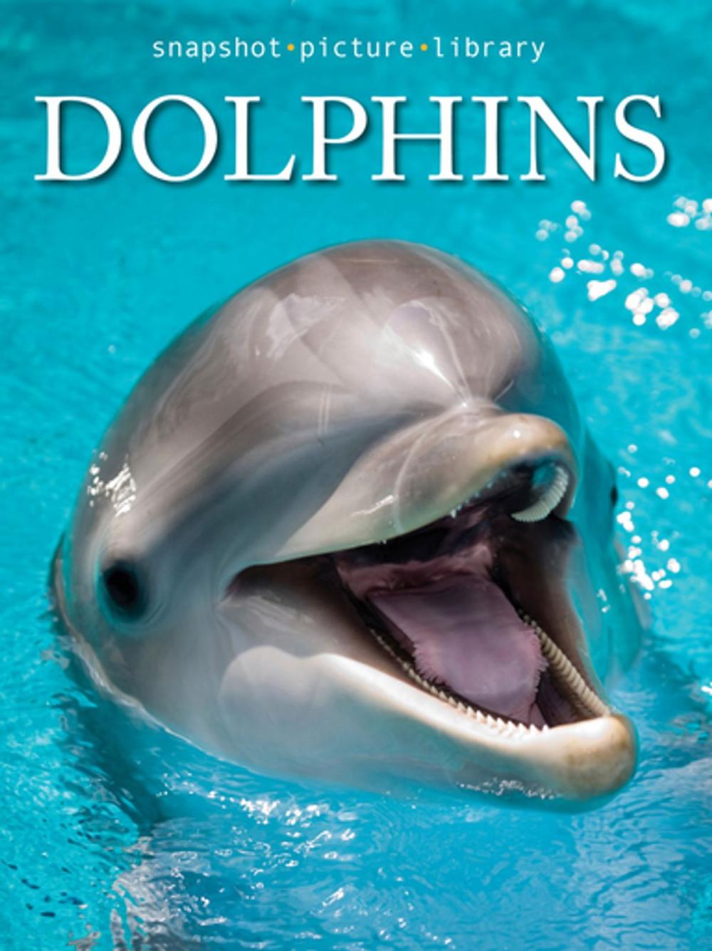 Big bigCover of Dolphins