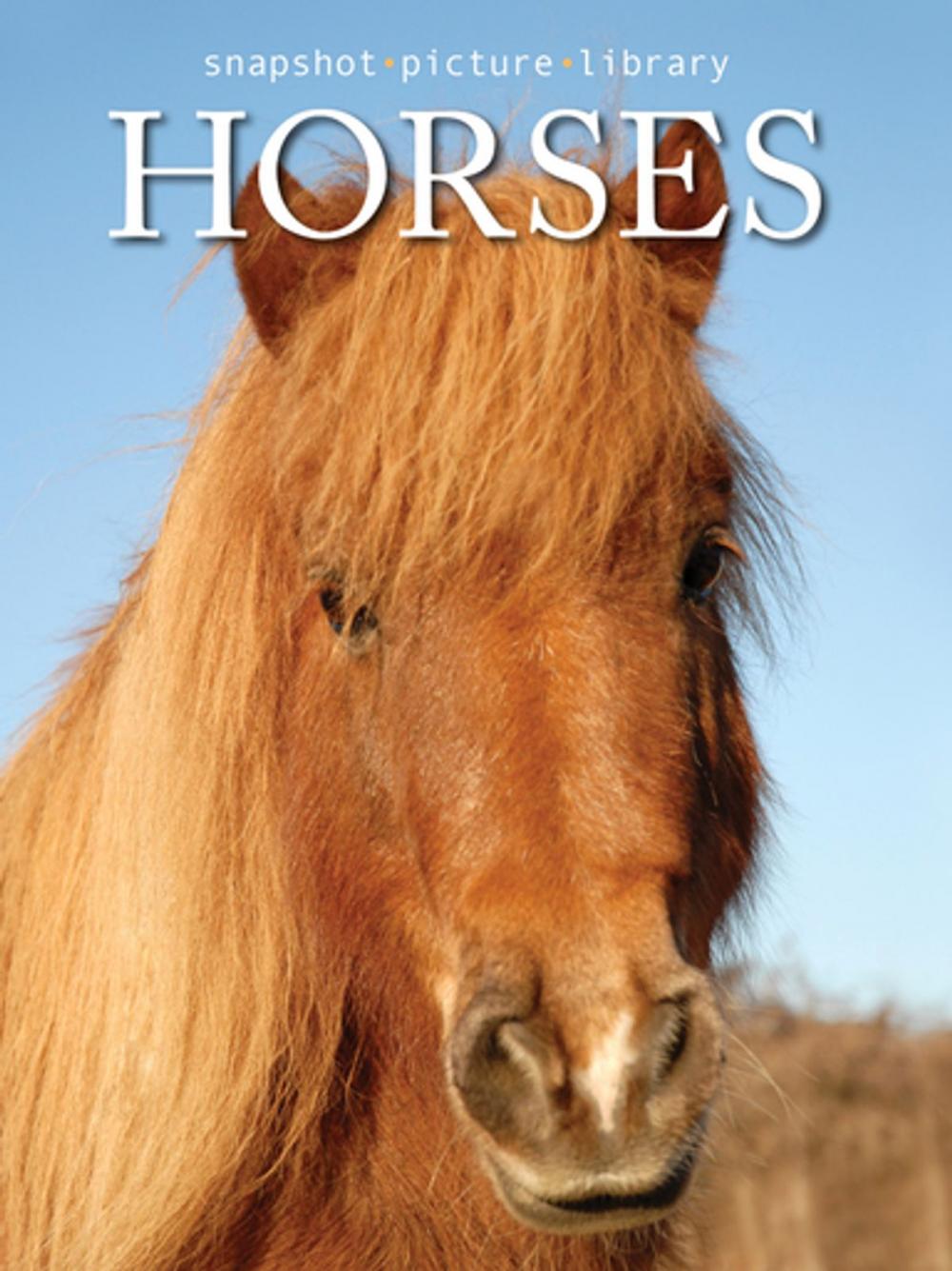 Big bigCover of Horses