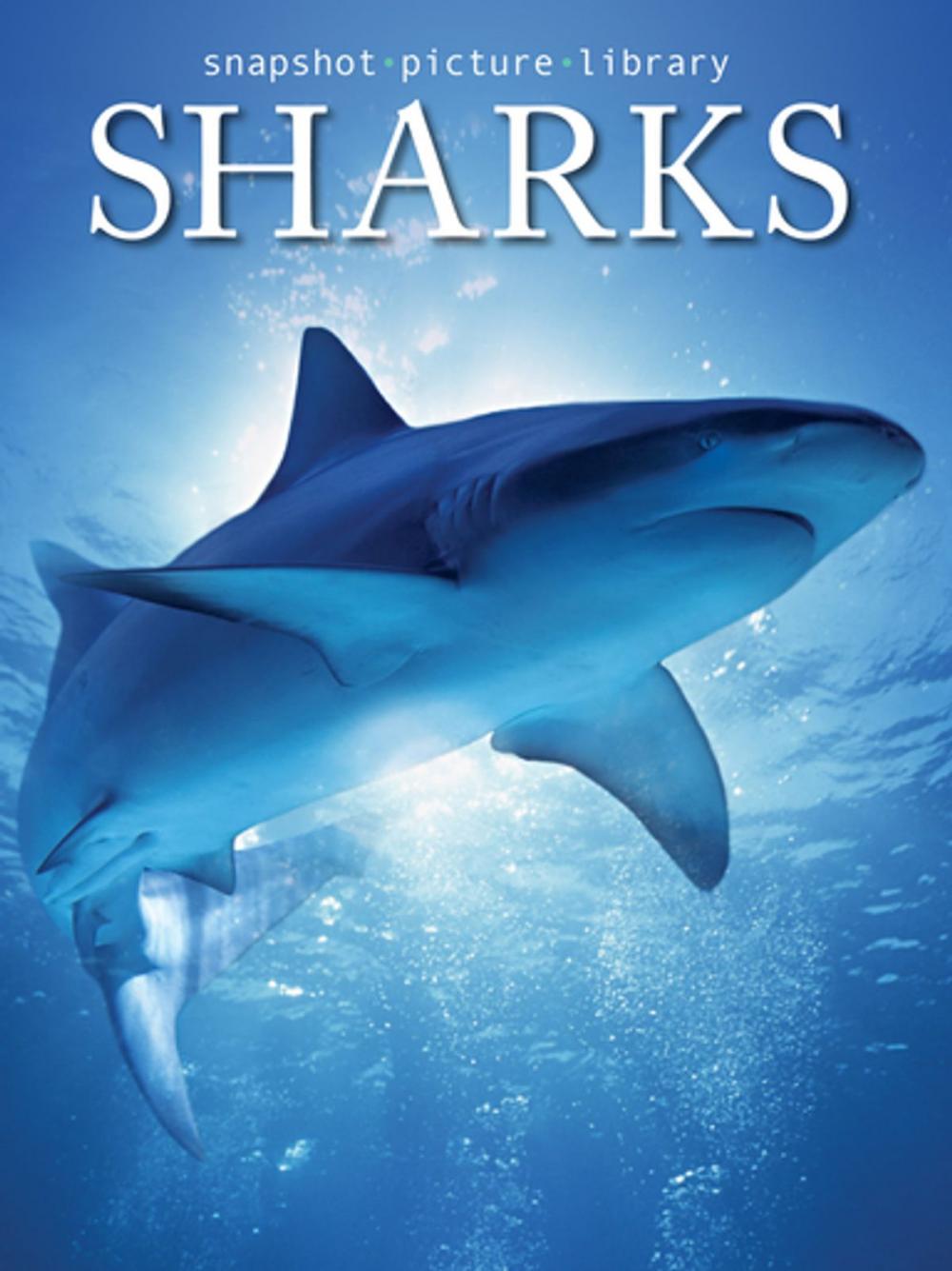 Big bigCover of Sharks