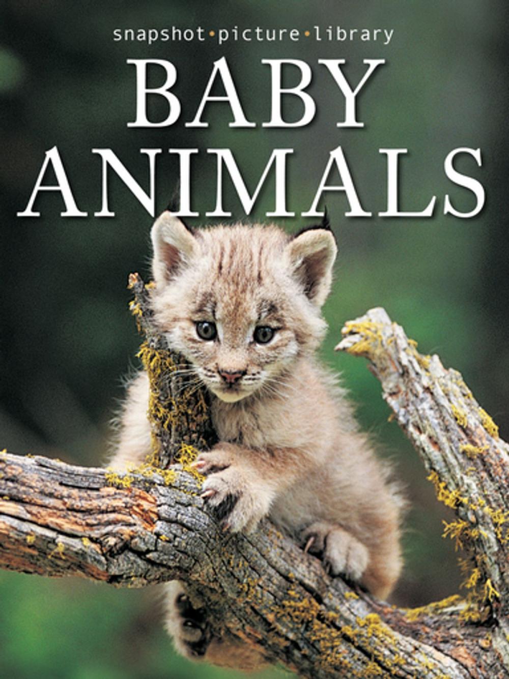 Big bigCover of Baby Animals