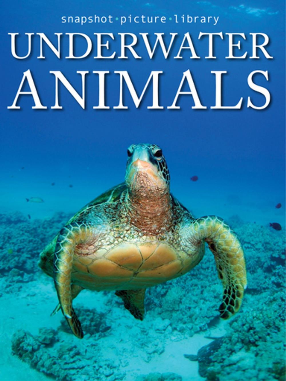 Big bigCover of Underwater Animals