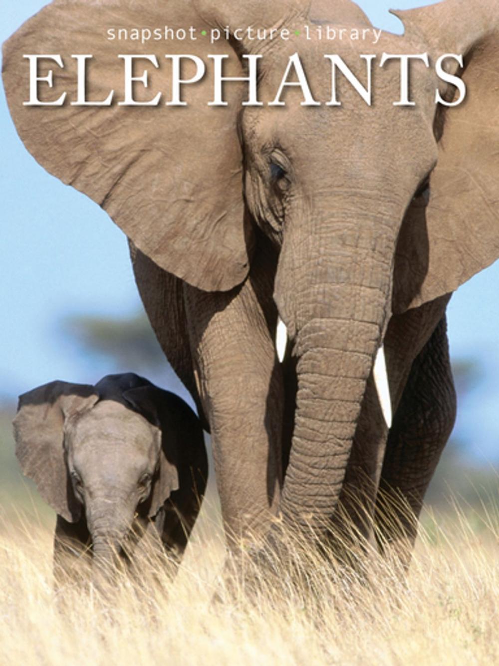 Big bigCover of Elephants