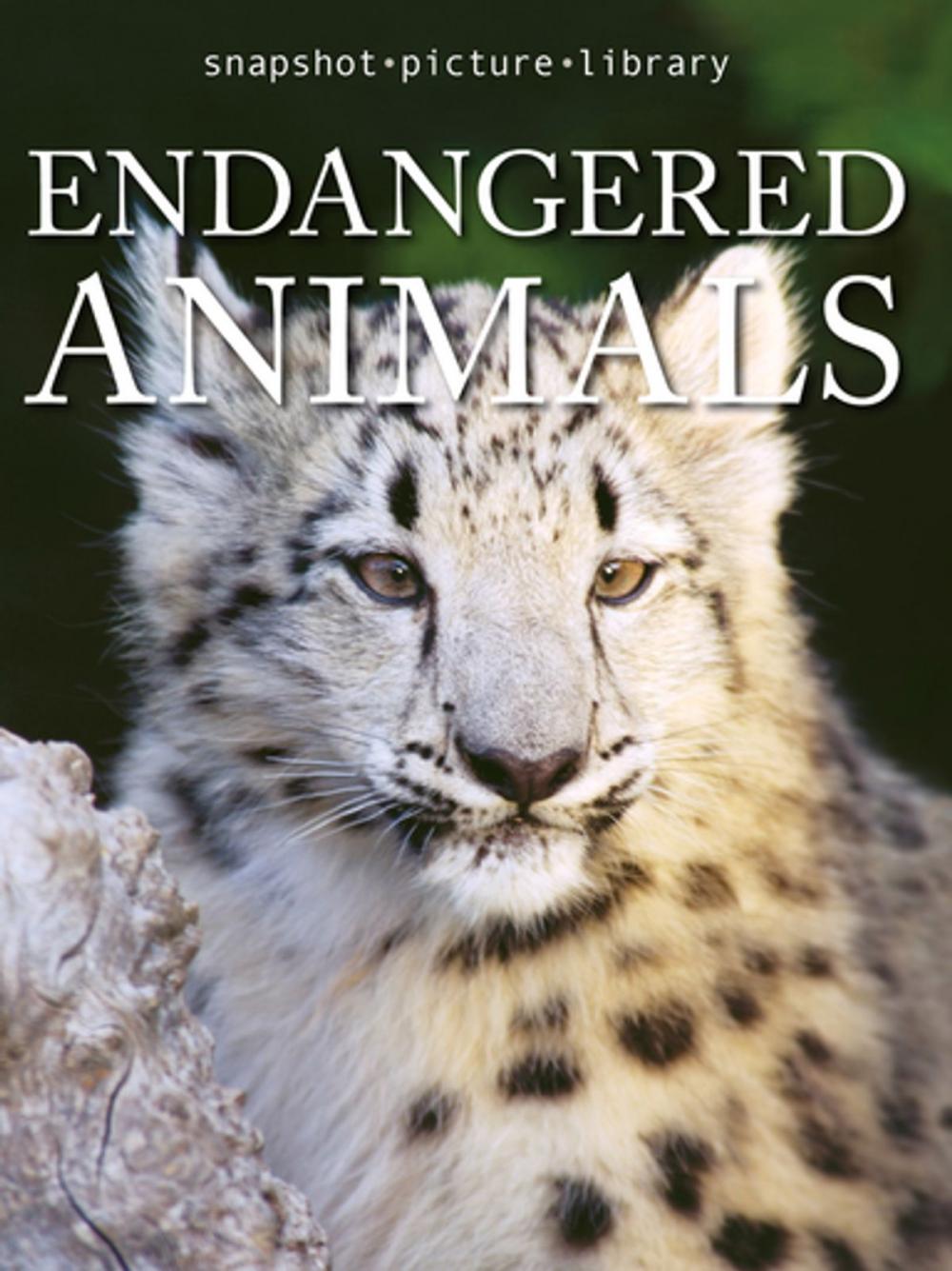 Big bigCover of Endangered Animals