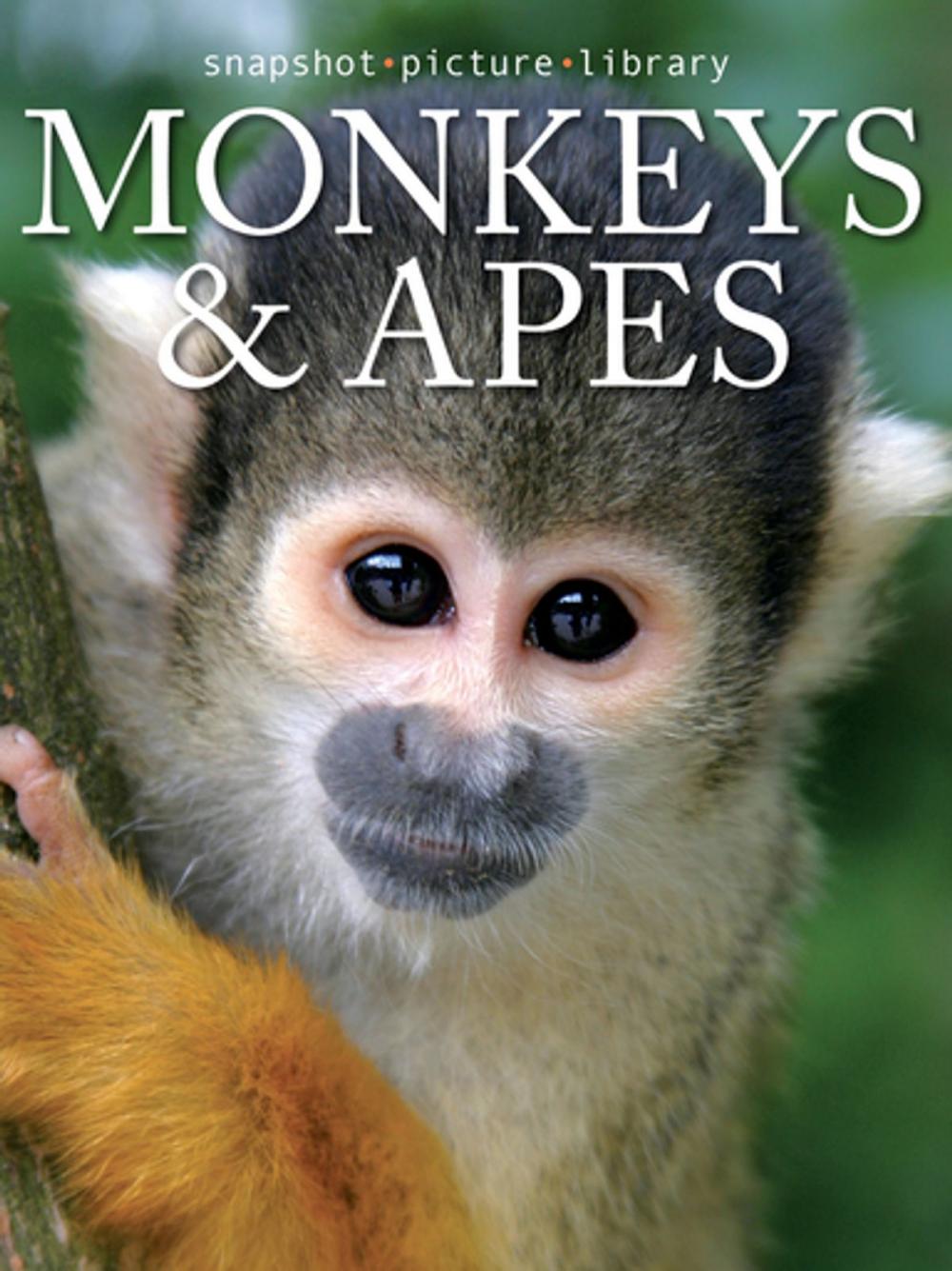 Big bigCover of Monkeys & Apes