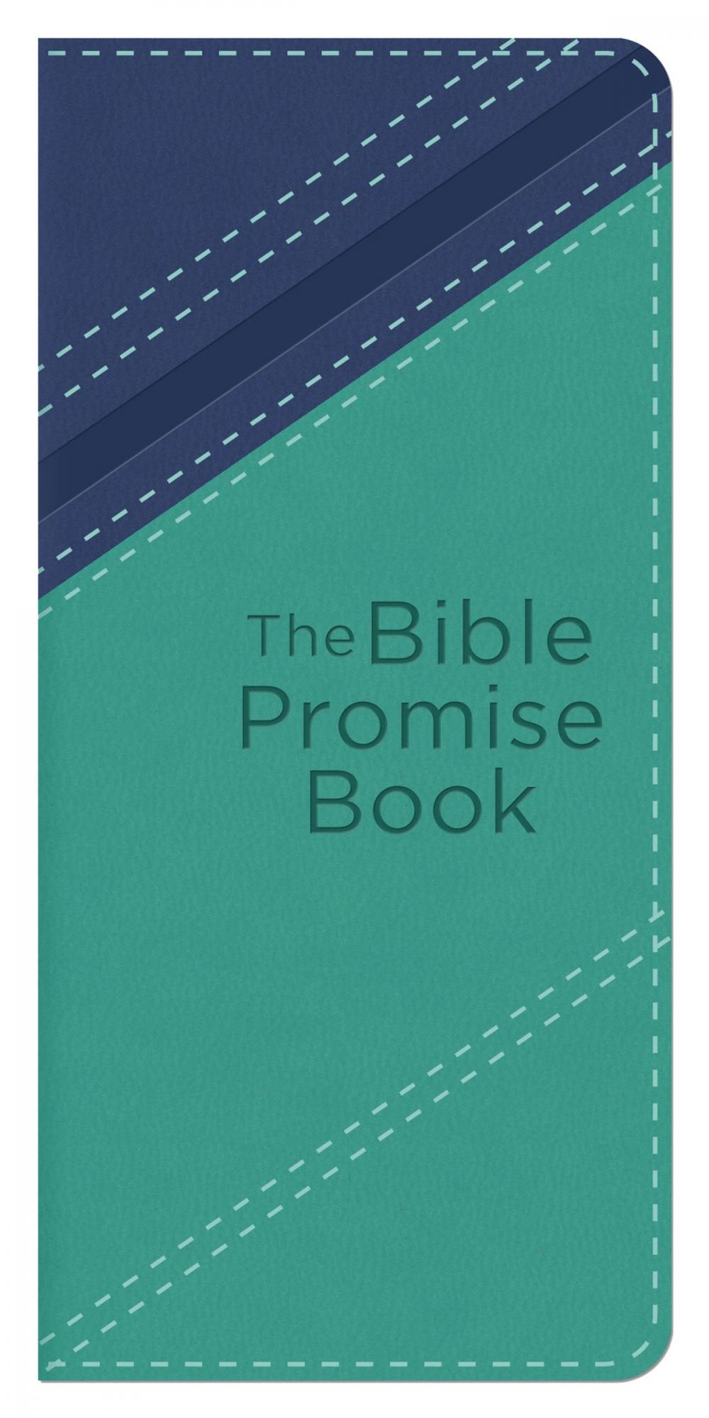 Big bigCover of The Bible Promise Book [teal]