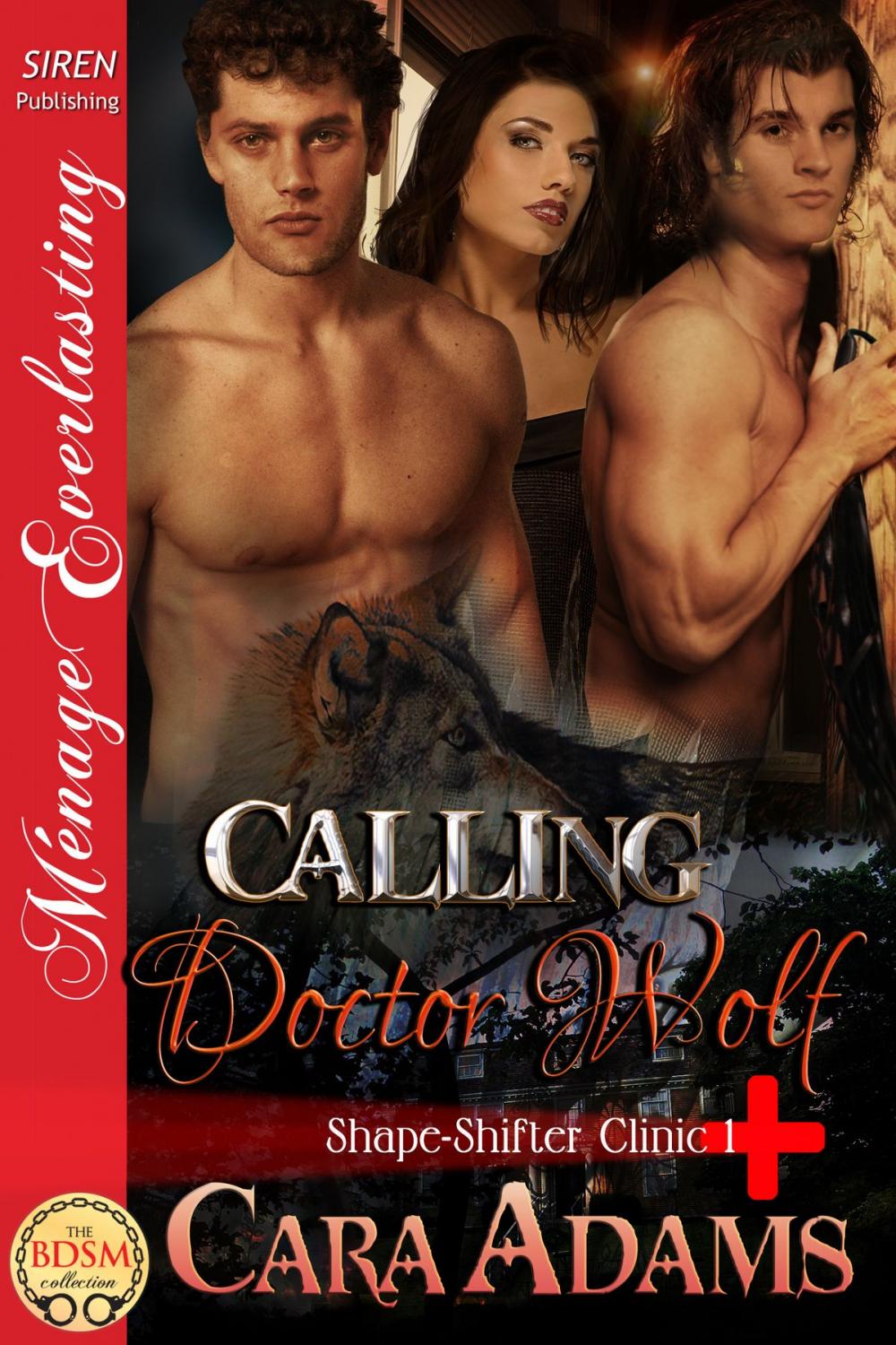 Big bigCover of Calling Doctor Wolf