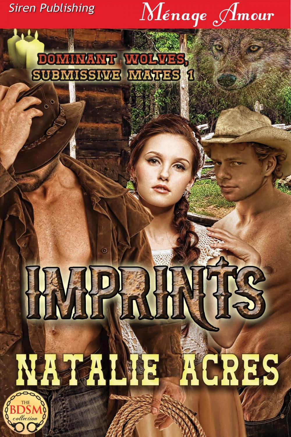 Big bigCover of Imprints