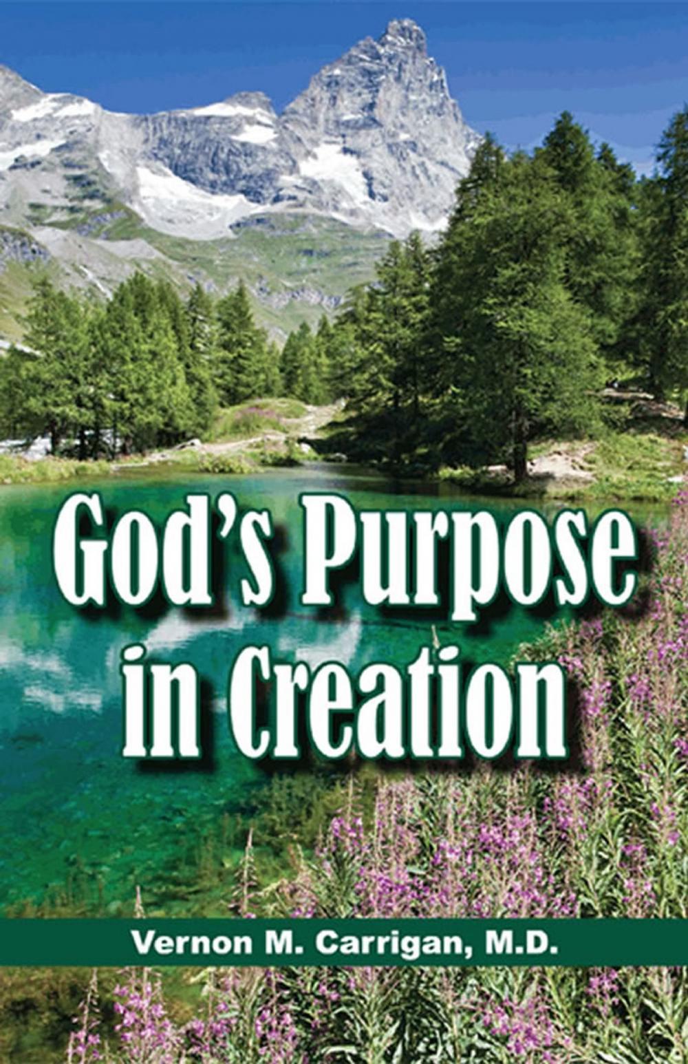 Big bigCover of God's Purpose in Creation