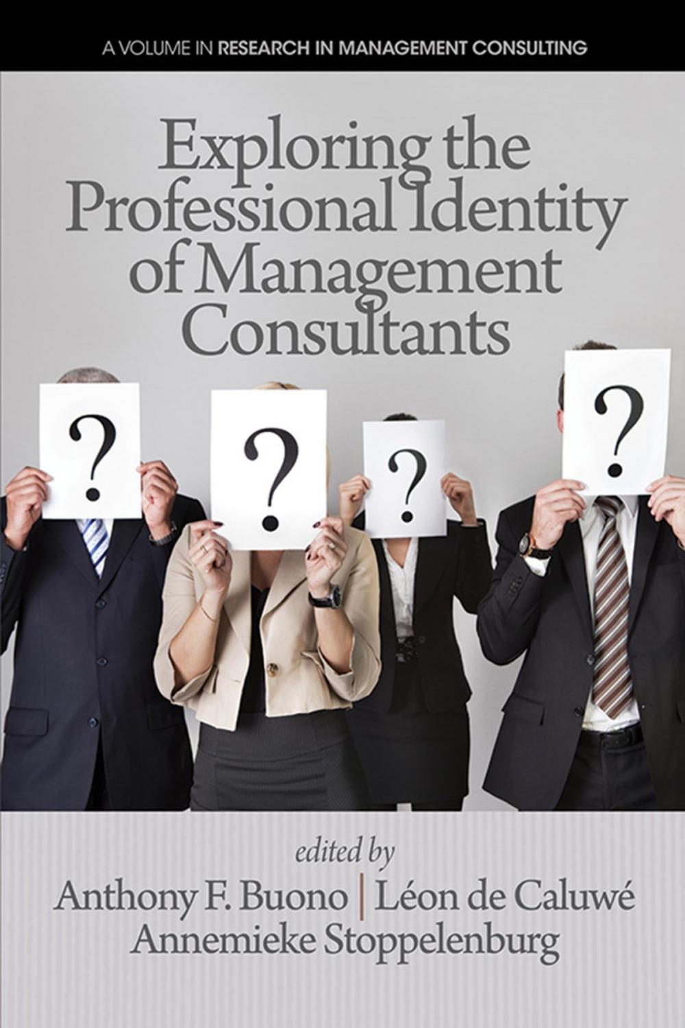 Big bigCover of Exploring the Professional Identity of Management Consultants