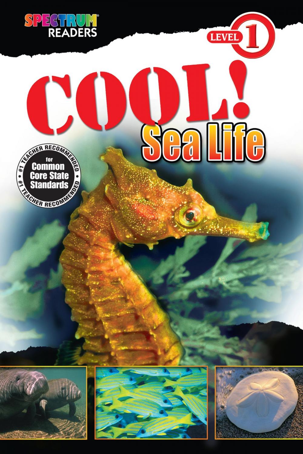 Big bigCover of Cool! Sea Life