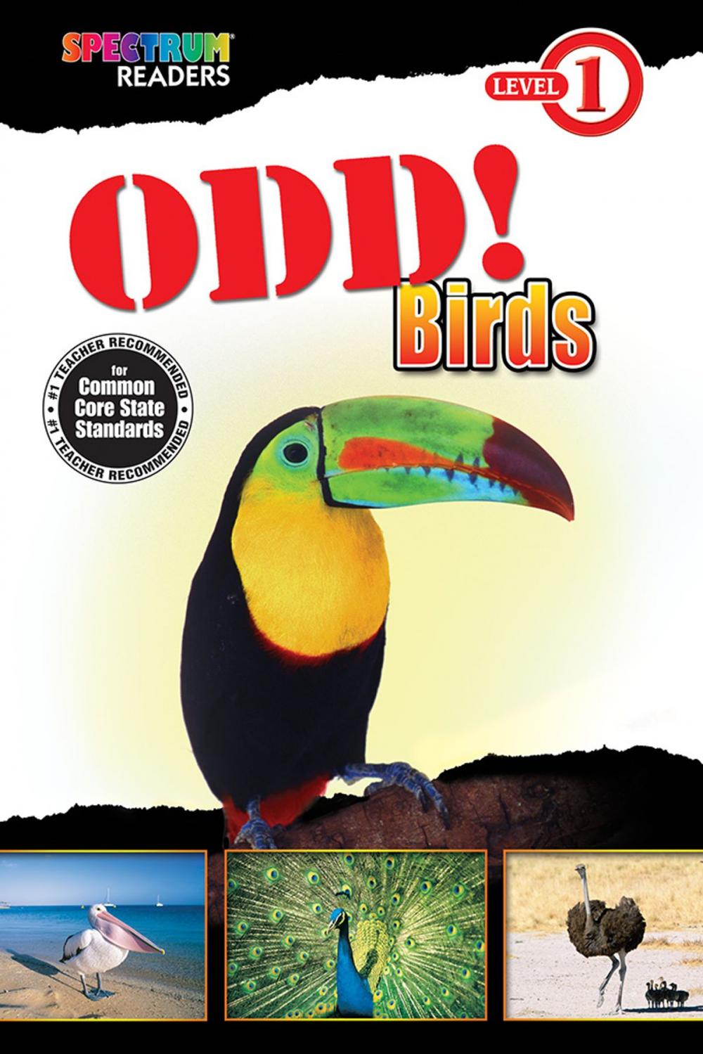 Big bigCover of Odd! Birds