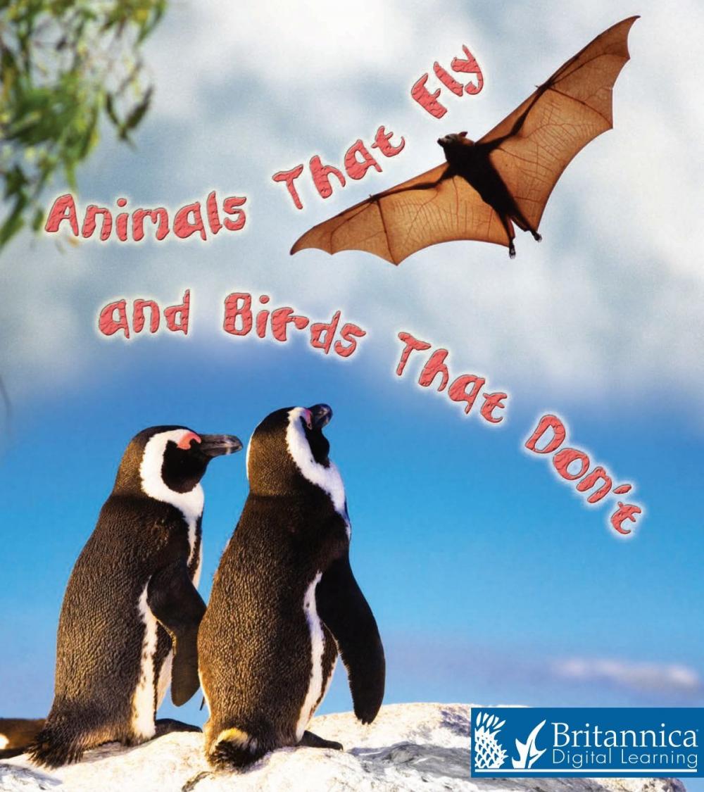 Big bigCover of Animals That Fly and Birds That Don't