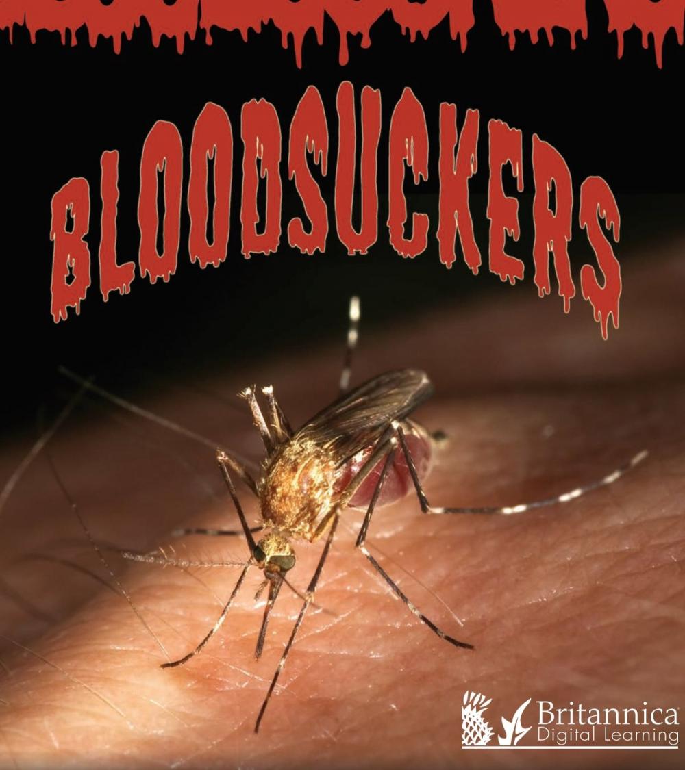 Big bigCover of Bloodsuckers