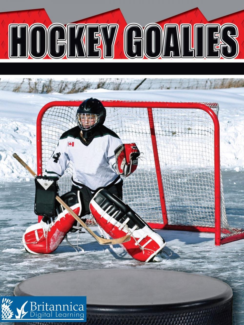 Big bigCover of Hockey Goalies