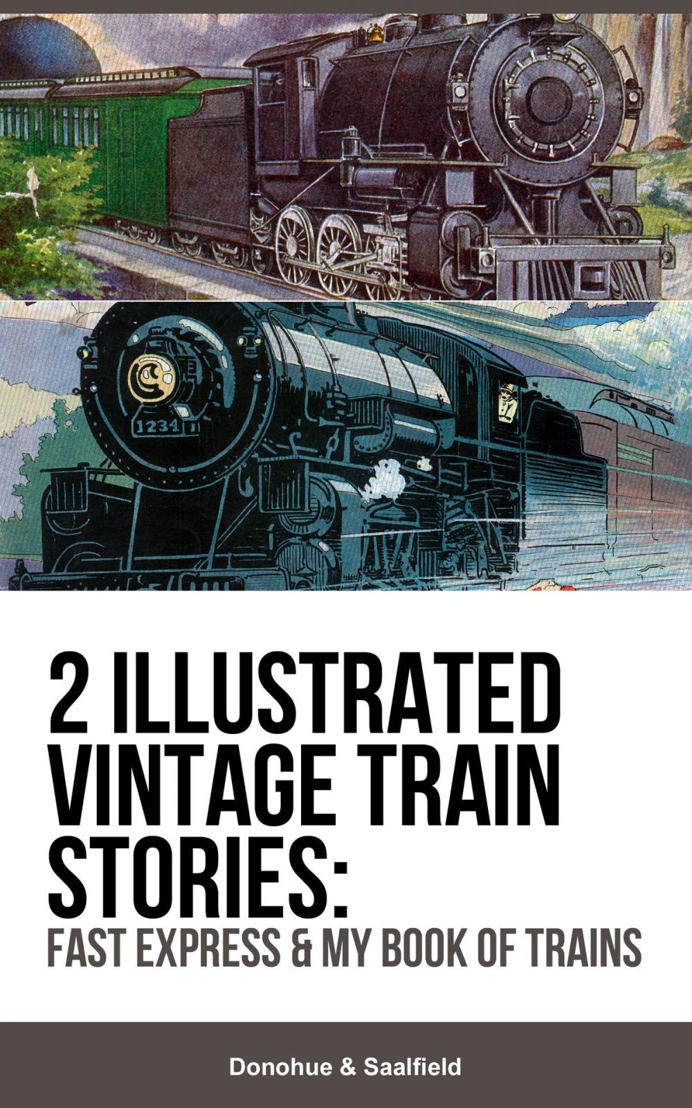 Big bigCover of 2 Illustrated Vintage Train Stories: Fast Express & My Book of Trains