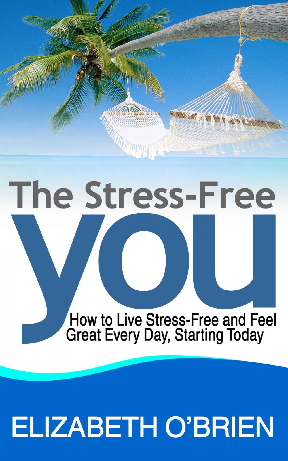 Big bigCover of The Stress-Free You