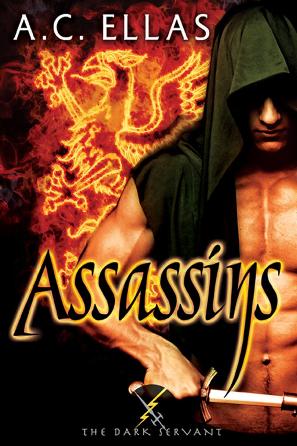 Big bigCover of Assassins