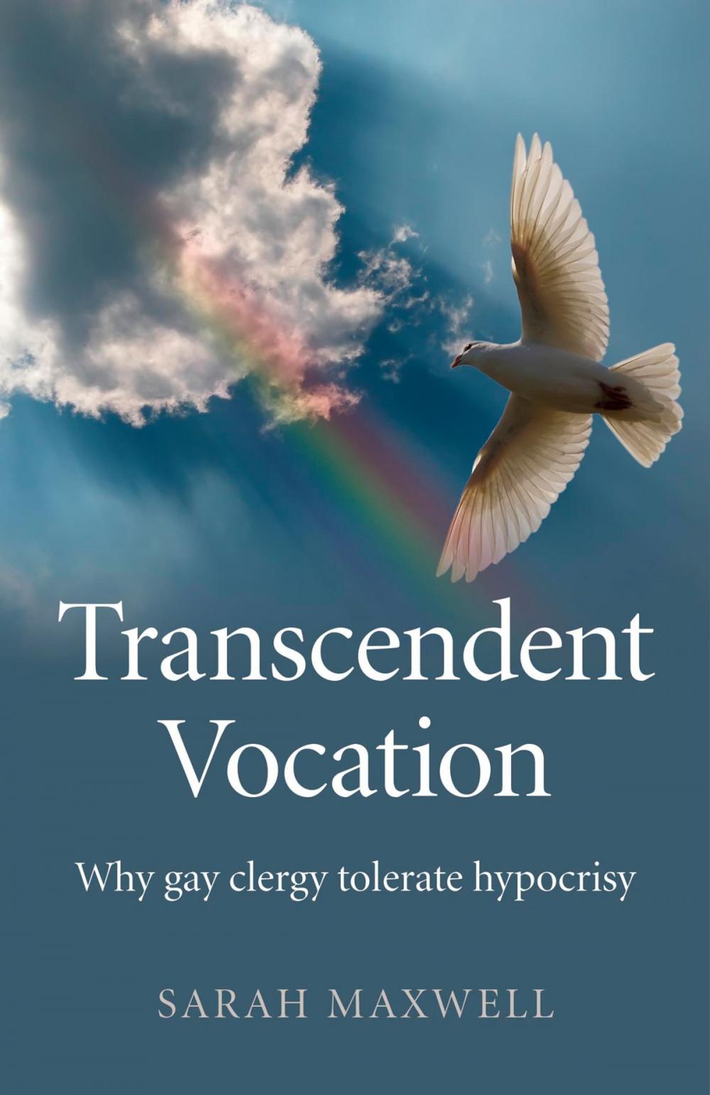 Big bigCover of Transcendent Vocation