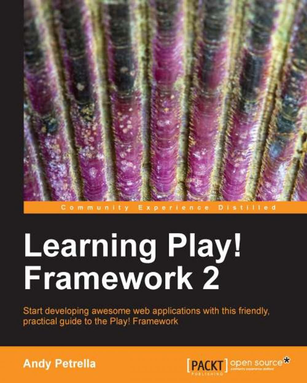 Big bigCover of Learning Play! Framework 2