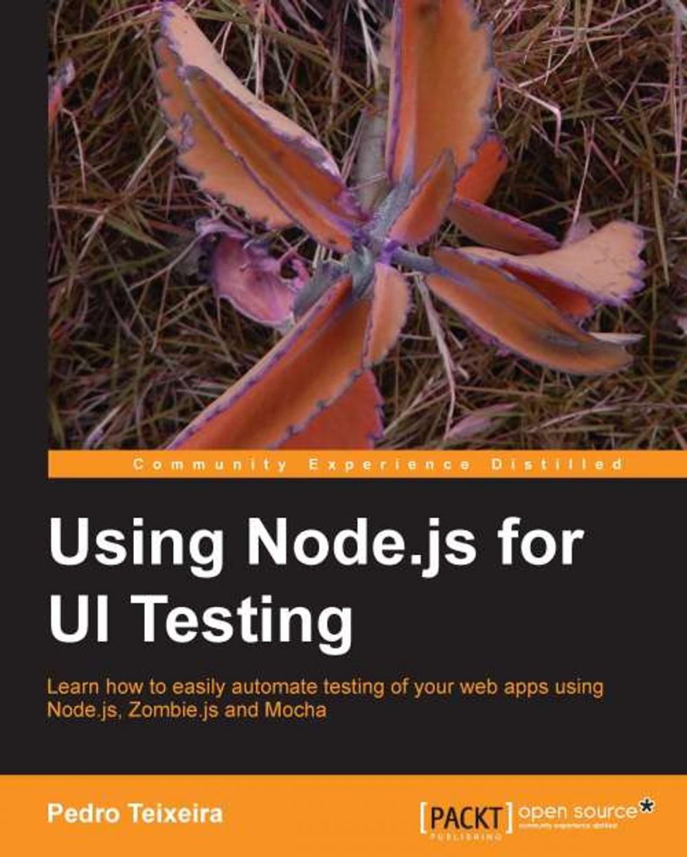 Big bigCover of Using Node.js for UI Testing